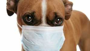 Prva pomoć: 4 razloga koji vode do pojave kašlja